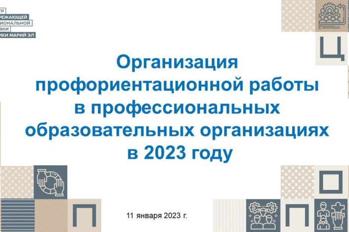 Организация профориентационной работы в ПОО в 2023 году