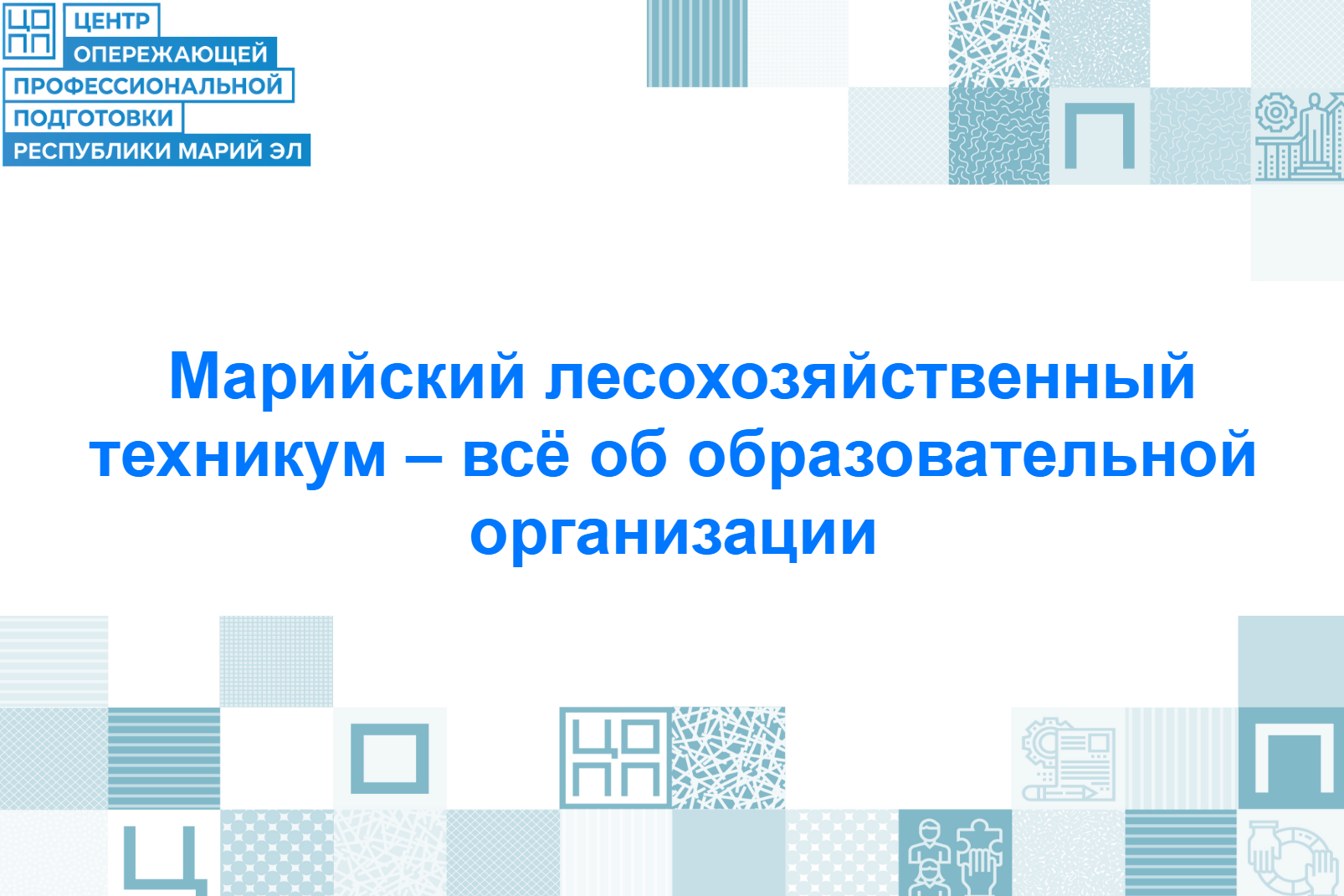 Марийский лесохозяйственный техникум уже ждёт тех, кто хочет не только работать головой, но и руками и видеть реальный результат своего труда!