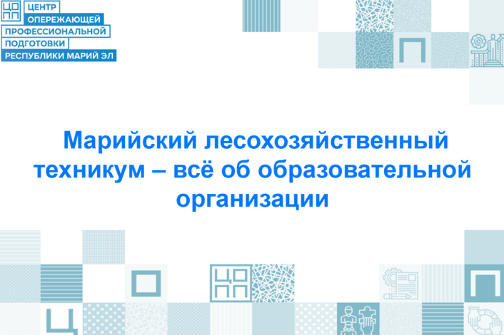 Марийский лесохозяйственный техникум уже ждёт тех, кто хочет не только работать головой, но и руками и видеть реальный результат своего труда!