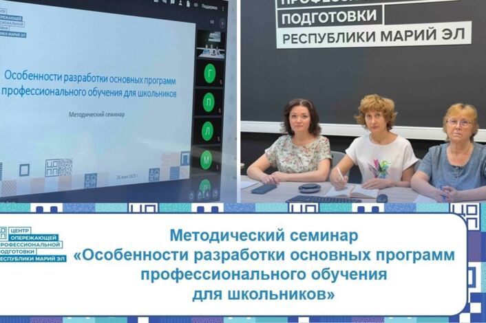 ЦОПП12: методическое сопровождение программ профессионального обучения школьников