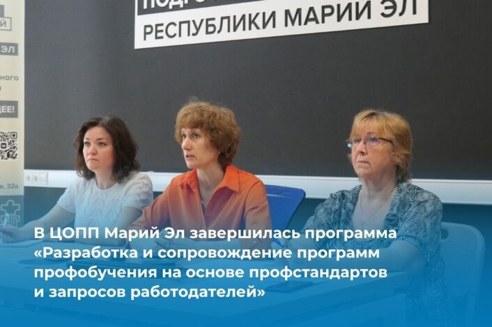 От Севастополя до Камчатки: повышаем квалификацию методистов с ЦОПП Марий Эл